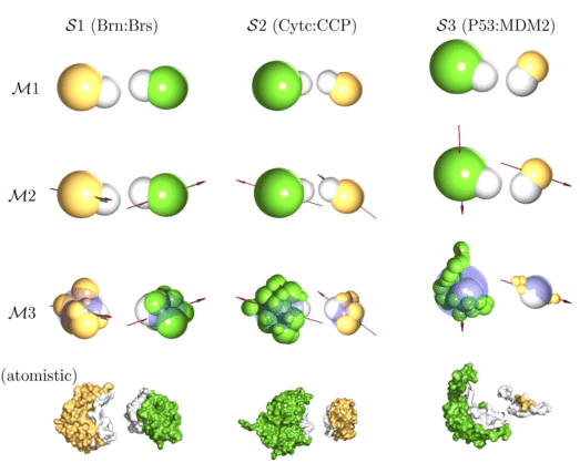 Protein-protein association