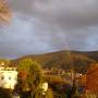 dsc05363.jpg