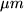 math formula