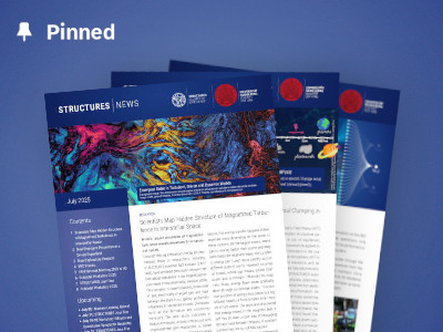 Picture of STRUCTURES newsletters
